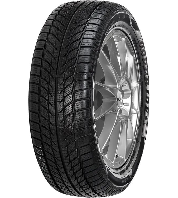 Goodride SW608 205/55 R16 91 H