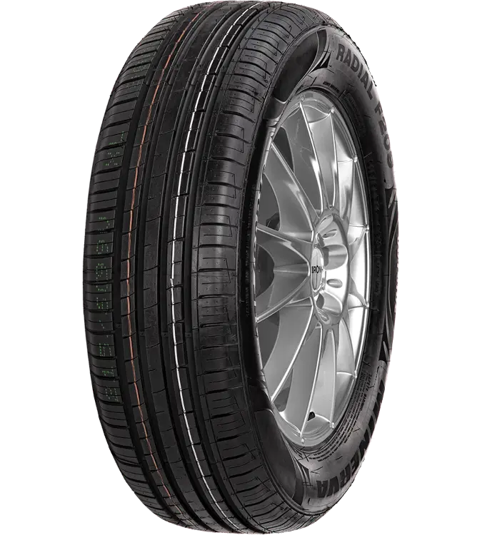 Minerva F209 205/55 R16 91 H