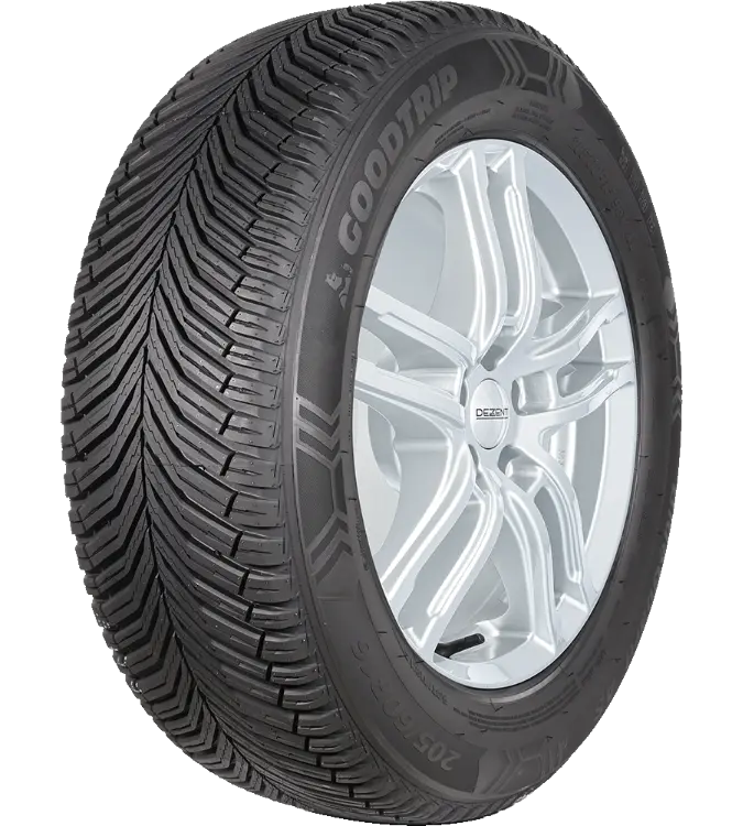 Goodtrip BlueGuard AS 205/55 R16 91 V