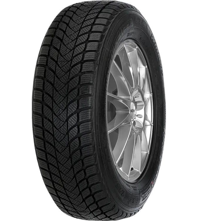 Mastersteel WINTER + W1 245/45 R18 100 H XL