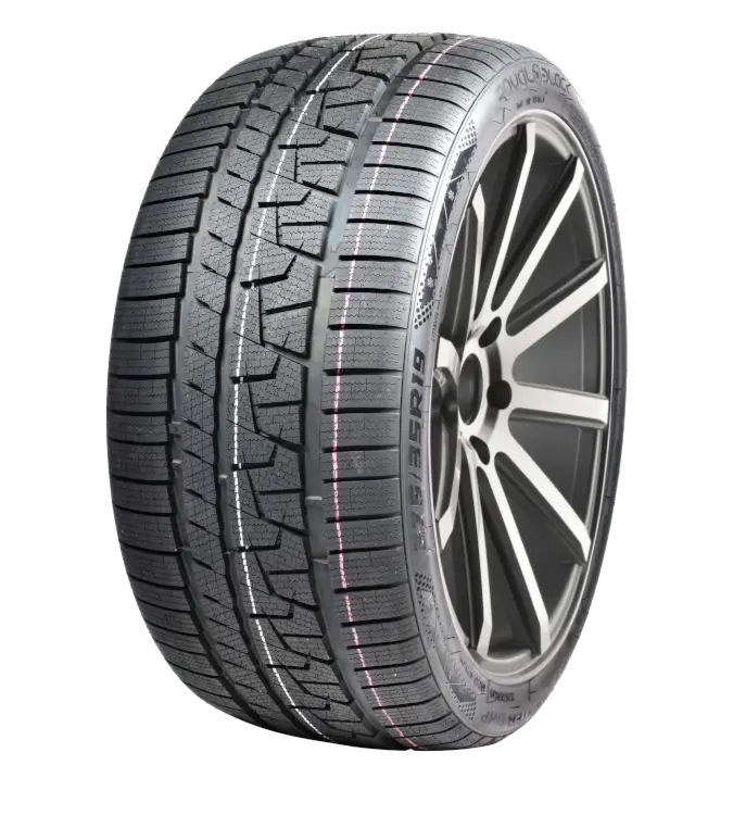 Royal Black Royal Winter UHP 205/55 R17 95 V