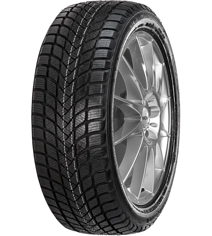 Landsail Winter Lander 225/50 R17 98 H