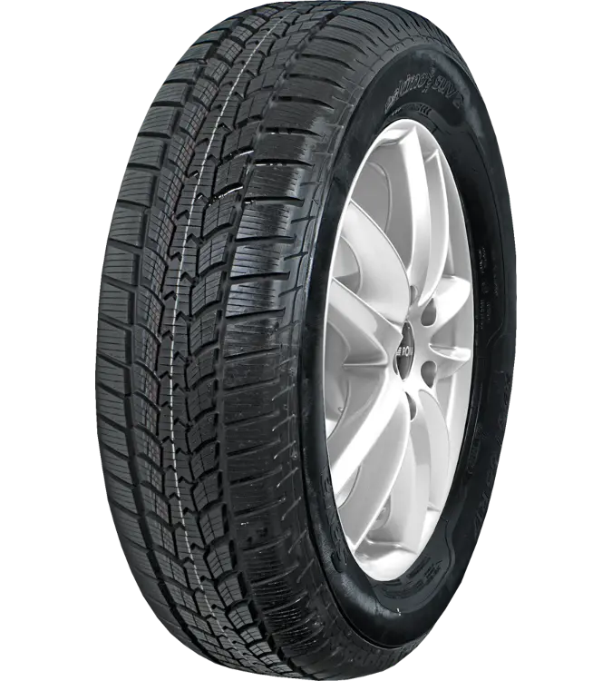 Sava Eskimo SUV 2 225/65 R17 106 H XL