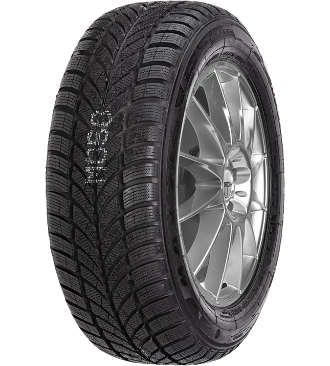 Maxxis WP-05 Arctictrekker 225/60 R16 102 H XL