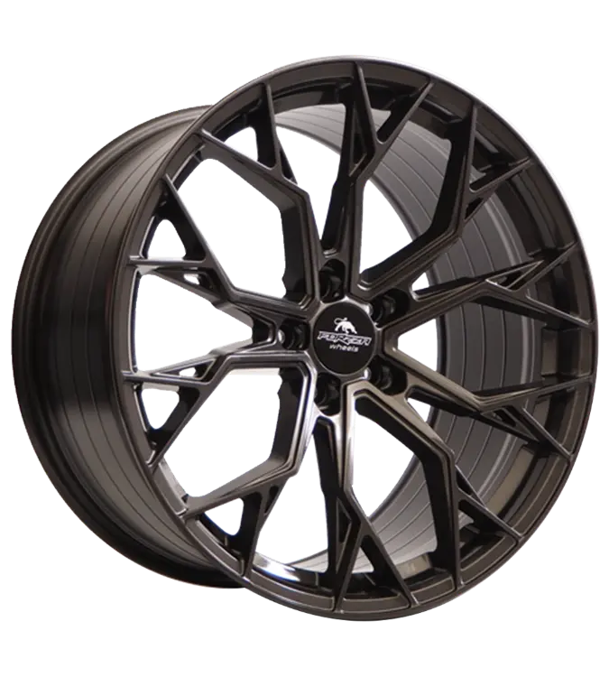 FORZZA Titan Dark Graphite 9,00x20 5x112,00 ET25,00