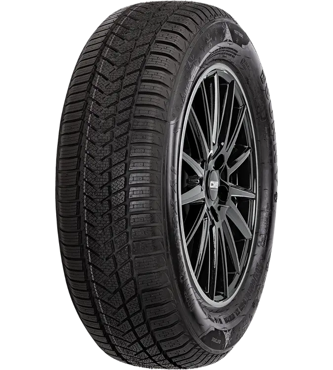 Sunny Wintermaxx NW211 245/35 R19 93 V XL