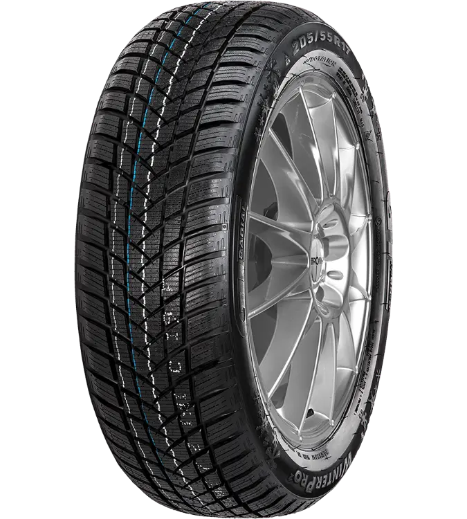 GT Radial WinterPro 2 205/60 R16 96 H XL
