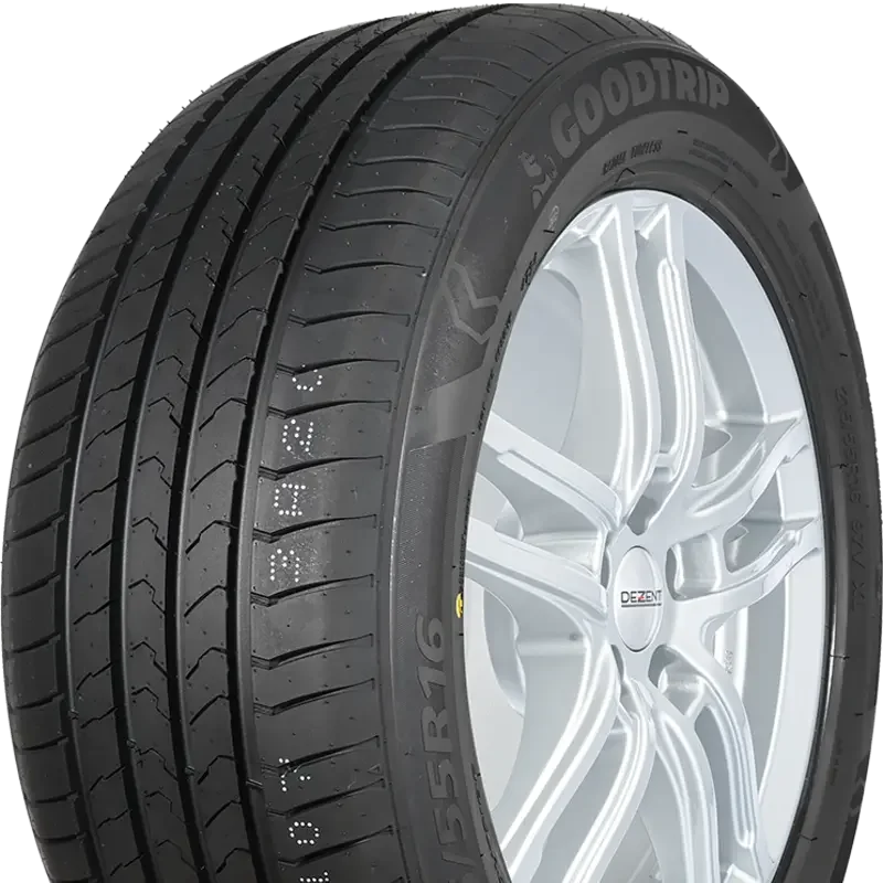 Goodtrip BlueGuard 205/60 R16 92 V