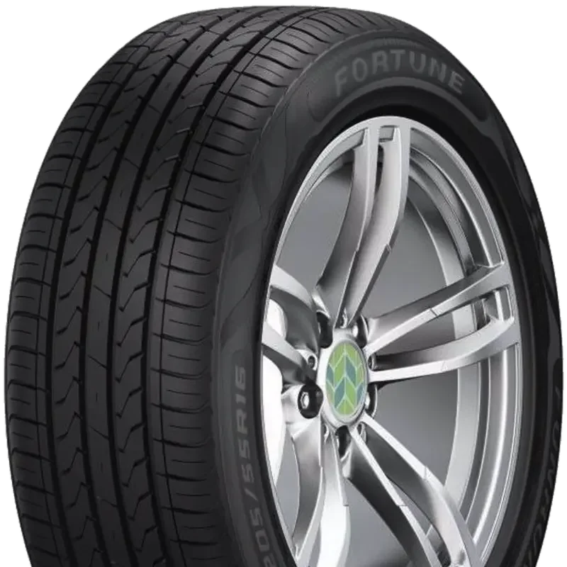 Fortune FSR-802 205/55 R16 91 V