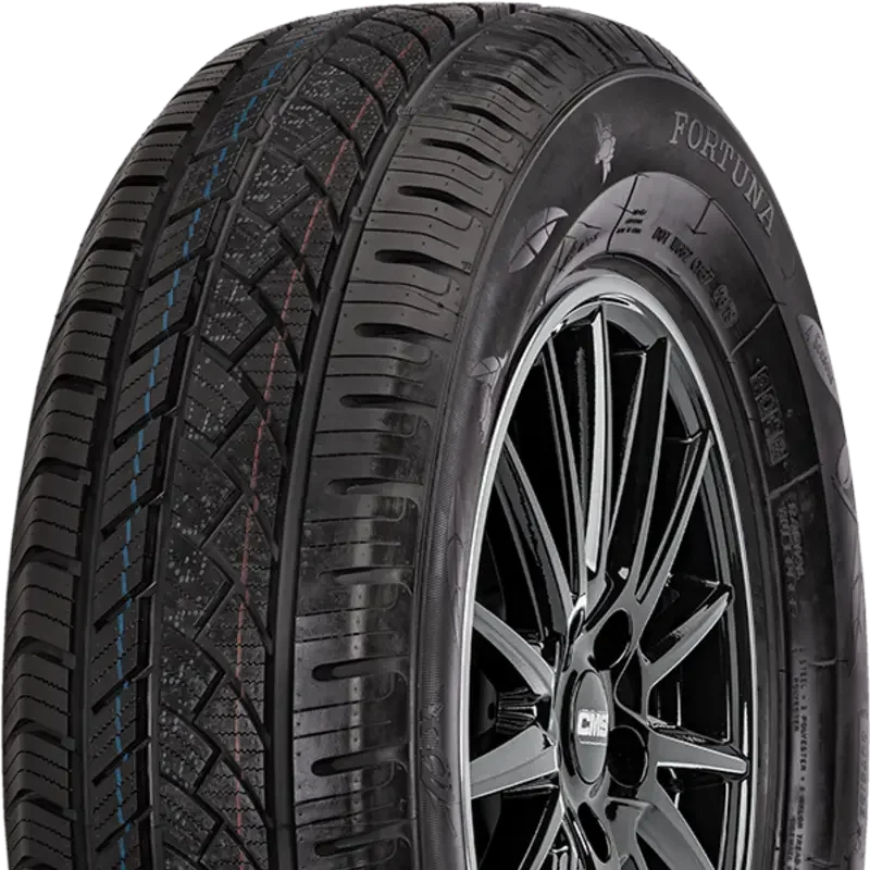 Fortuna Ecoplus Van 4S 215/60 R17 109 T C