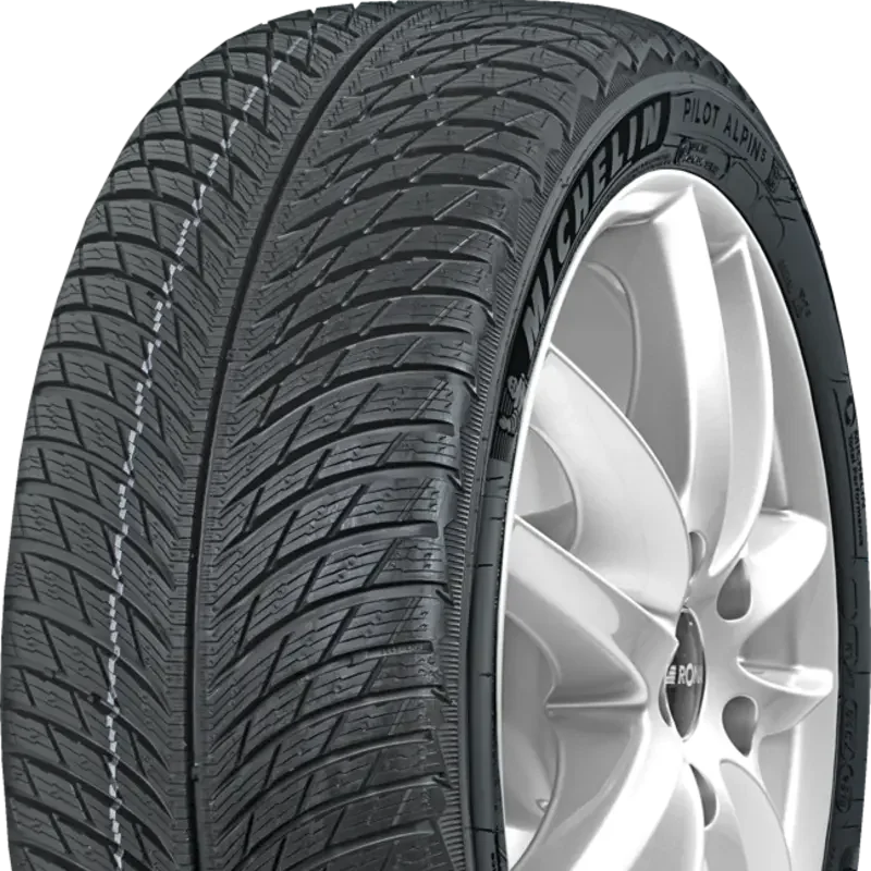 Michelin Pilot Alpin 5 295/30 R21 102 W XL, MO1